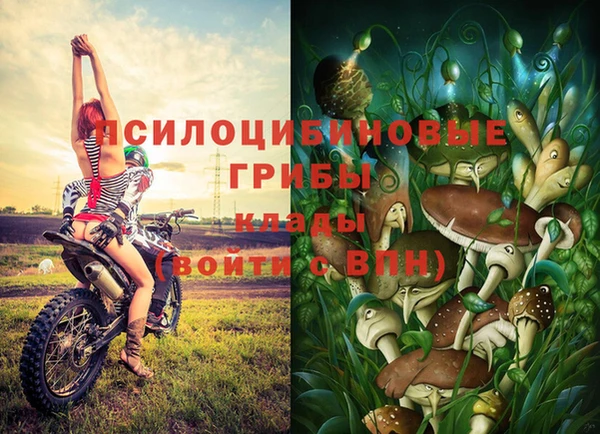 кокс Нефтекумск