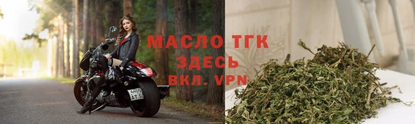 ешки Новодвинск