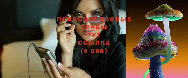 ешки Новодвинск