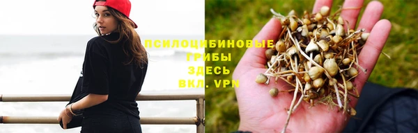 наркотики Новозыбков