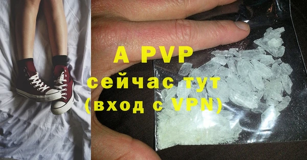стафф Новокубанск
