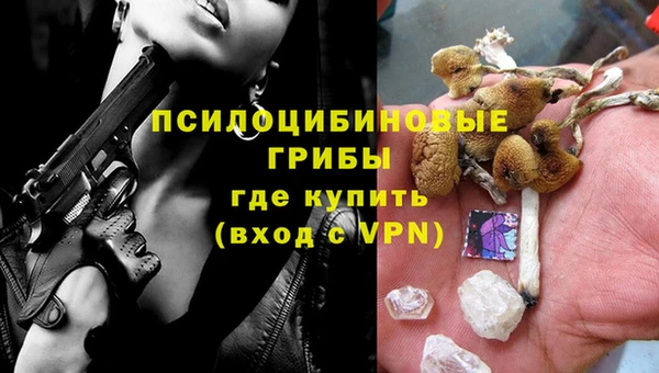 ешки Новодвинск