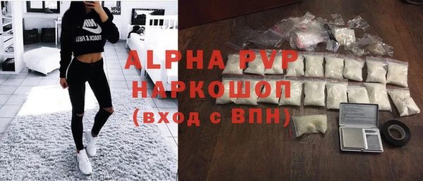 стафф Новокубанск