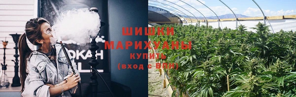 стафф Новокубанск