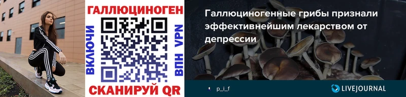 Галлюциногенные грибы Cubensis  kraken зеркало  Шуя 