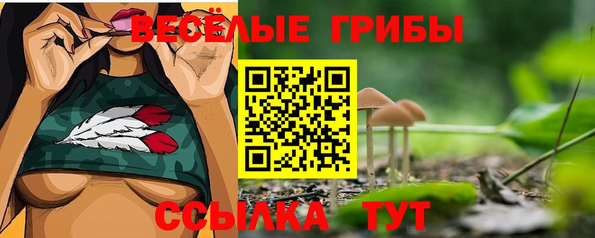 Галлюциногенные грибы мицелий Шуя